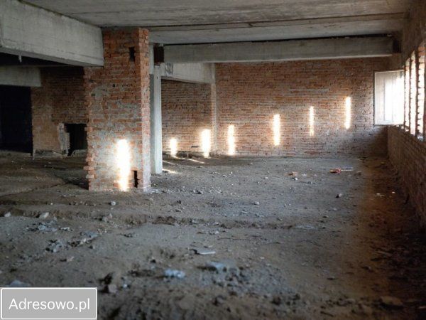 kamienica Wiązów, ul. Strzelińska. Zdjęcie 3