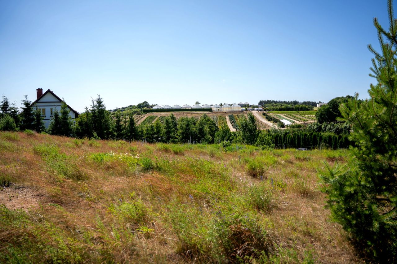 Działka rolno-budowlana Garcz, ul. Widokowa. Zdjęcie 4