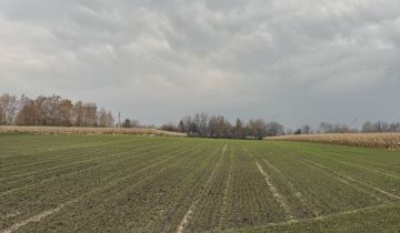 Działka rolna Piekary Śląskie Dąbrówka Wielka