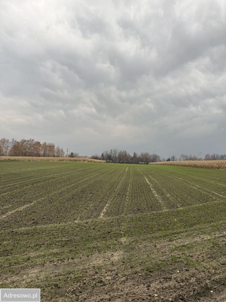 Działka rolna Piekary Śląskie Dąbrówka Wielka