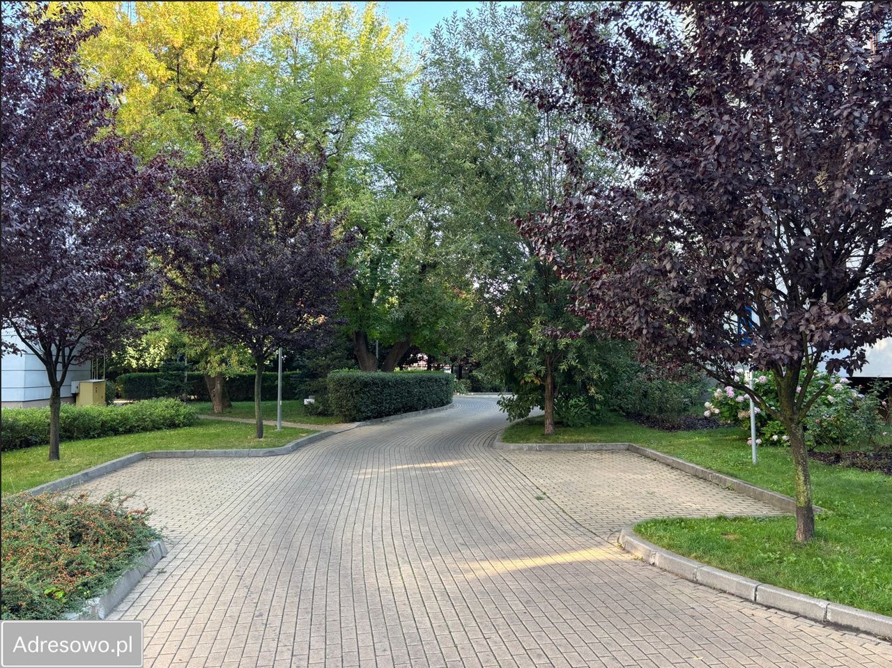 Mieszkanie 3-pokojowe Warszawa Zacisze, ul. Wyspowa. Zdjęcie 12