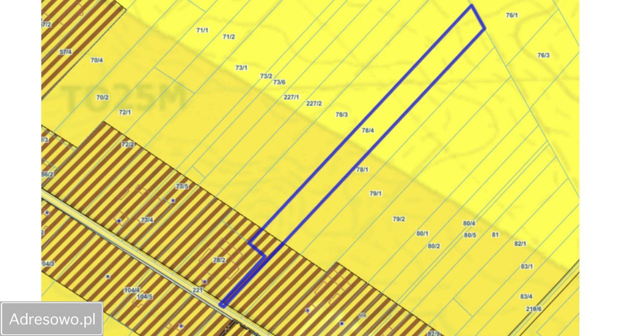 Działka rolno-budowlana Tomaszowice. Zdjęcie 3