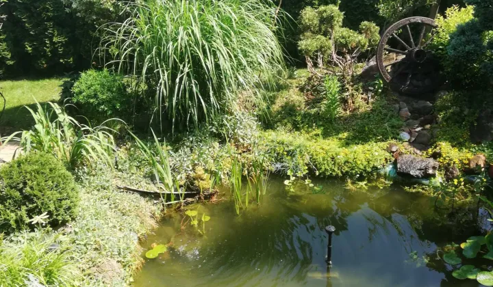 dom wolnostojący Pstrokonie