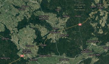 Działka rolna Dobiegniew. Zdjęcie 1