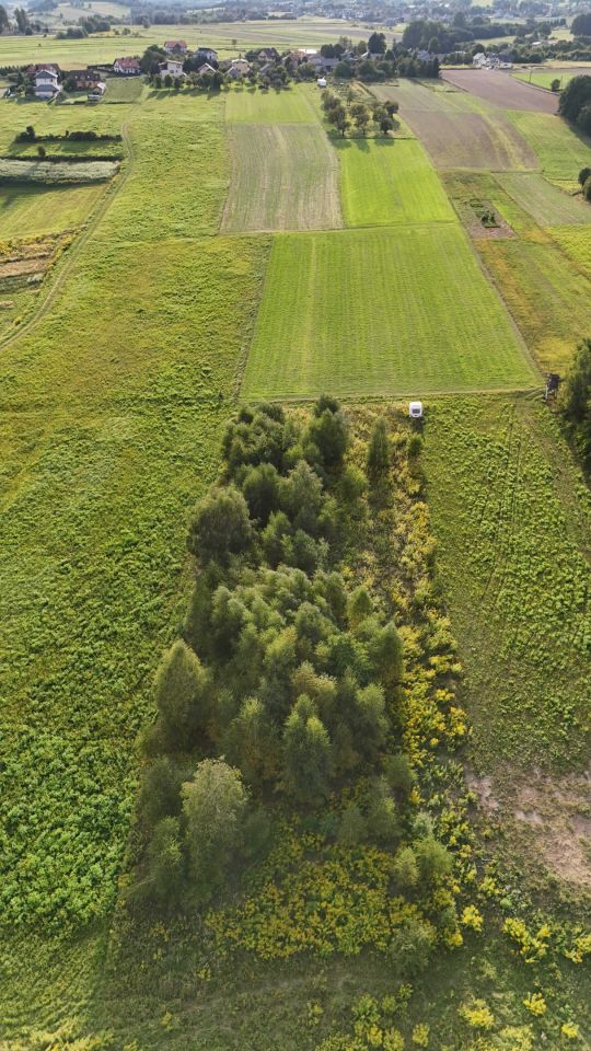 Działka rolna Biały Kościół. Zdjęcie 4