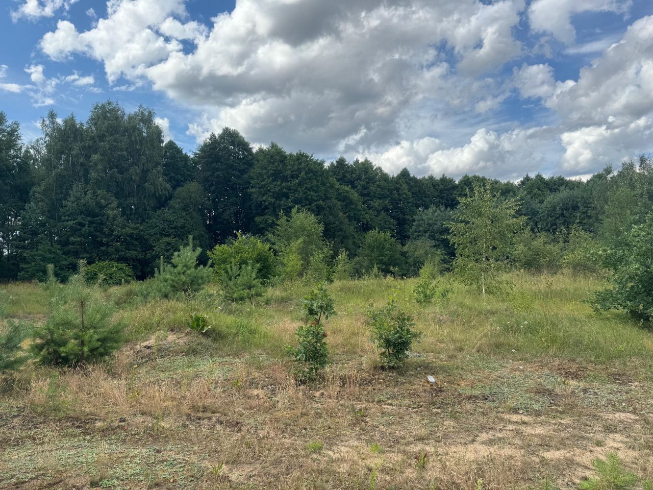 Działka budowlana Starkowa Huta