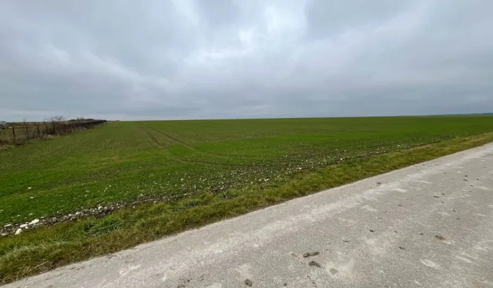 Działka budowlana Trzciniec