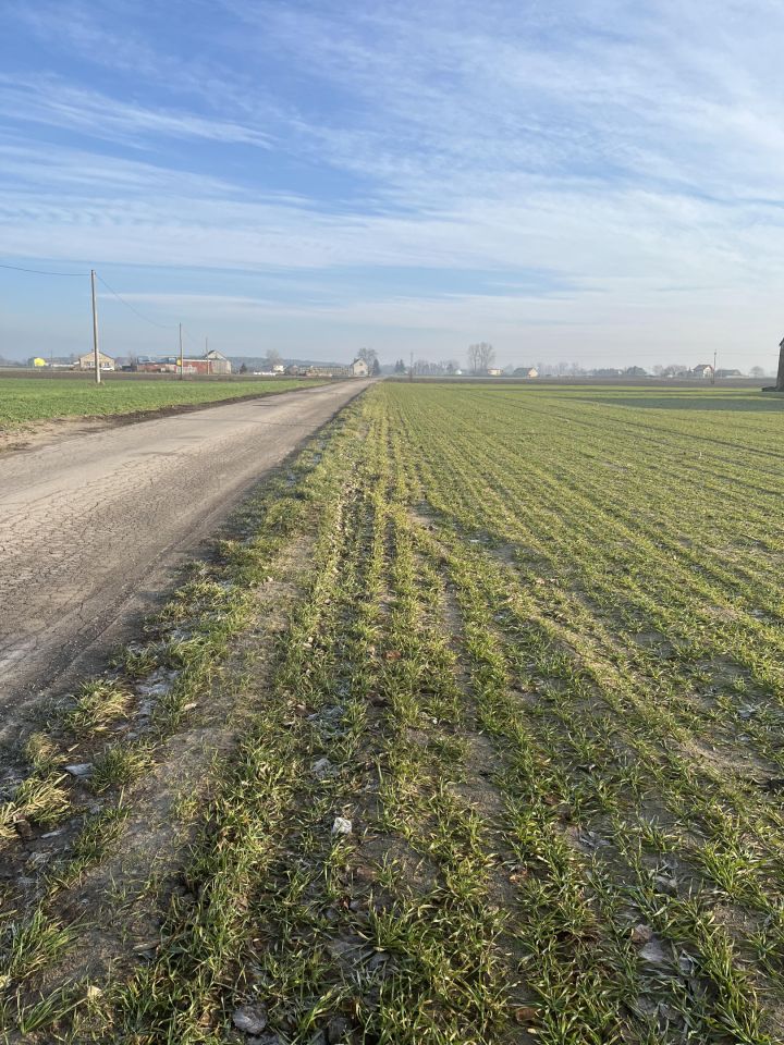 Działka rolna Walentynowo. Zdjęcie 2