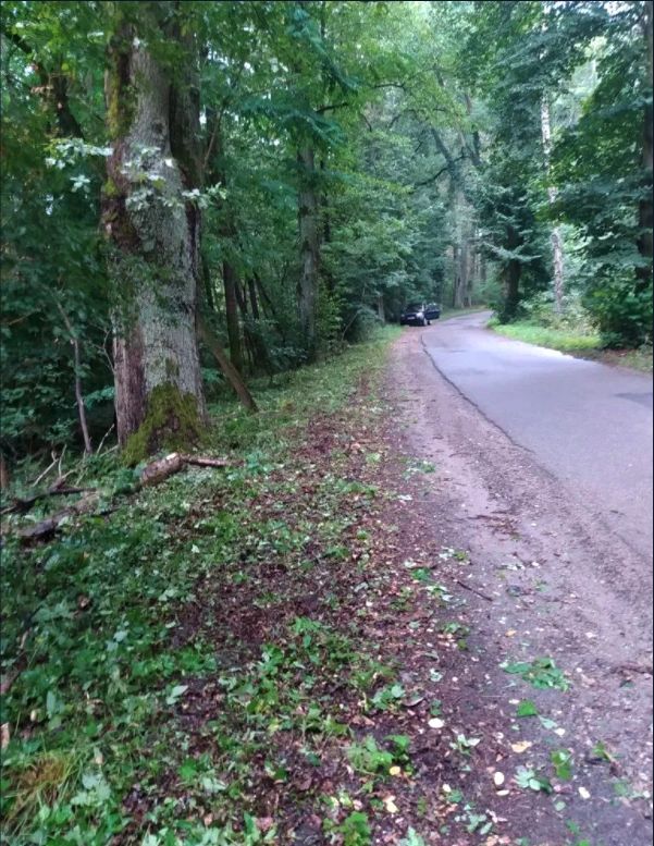 Działka budowlana Świbinki. Zdjęcie 5