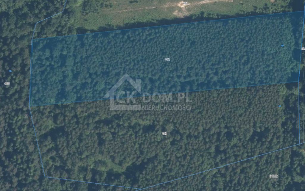 Działka rolna Cisów. Zdjęcie 5
