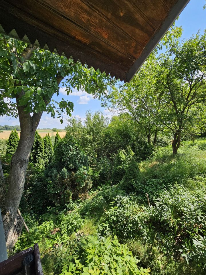 Działka rekreacyjna Boiska-Kolonia. Zdjęcie 5