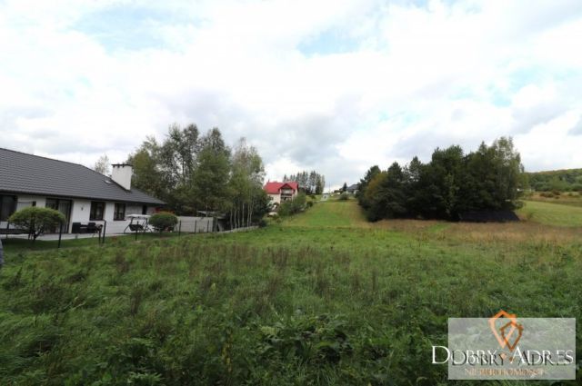 Działka rolna Borek Stary. Zdjęcie 5