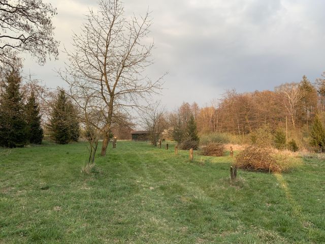 Działka budowlana Lwowiany Głubczyce-Las Marysieńka. Zdjęcie 1