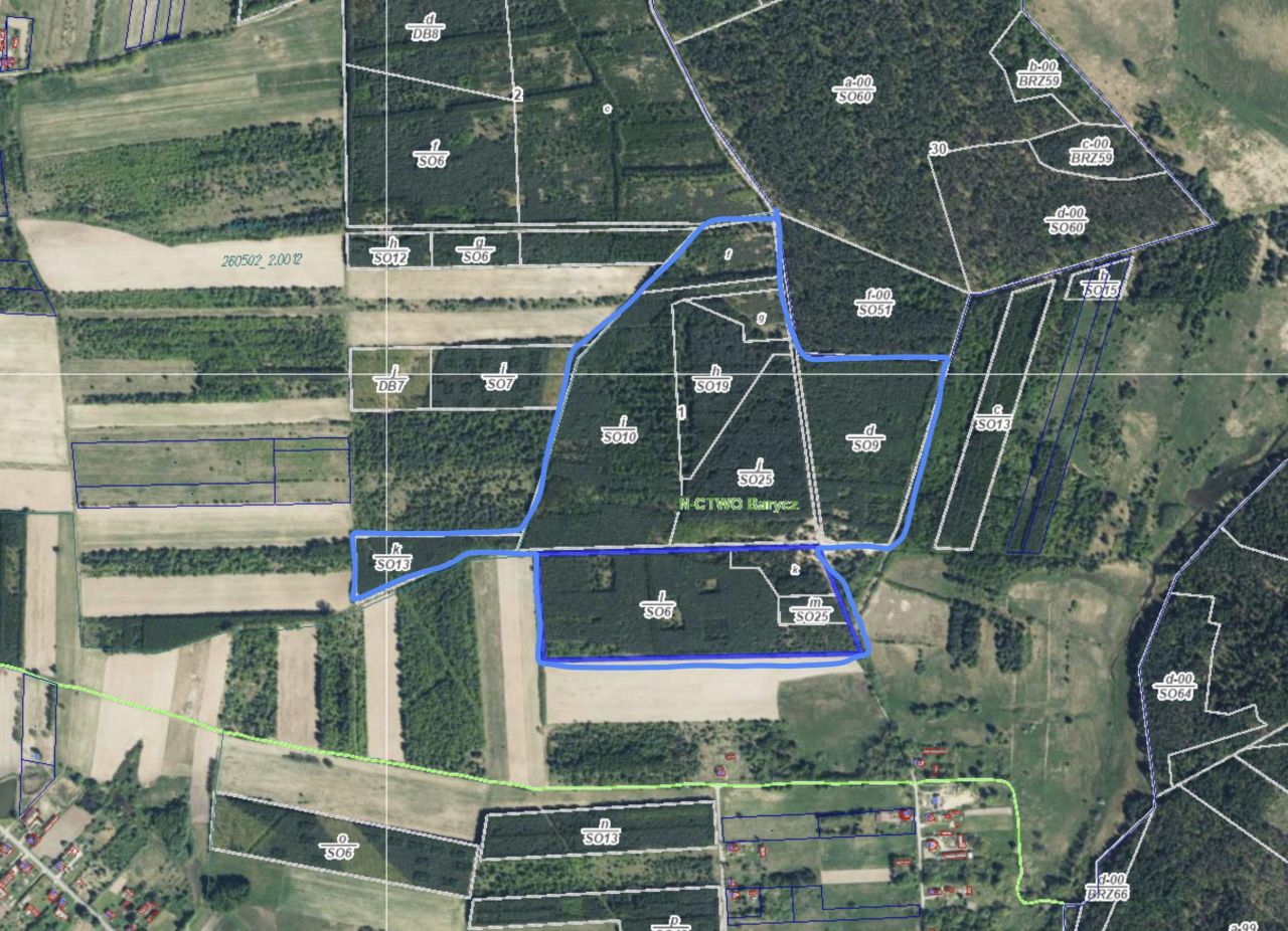 Działka leśna Bernów. Zdjęcie 2