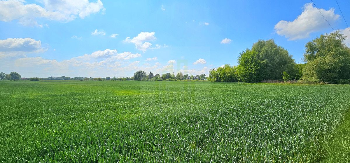 Działka budowlana Bieniewice, ul. Słowicza. Zdjęcie 8