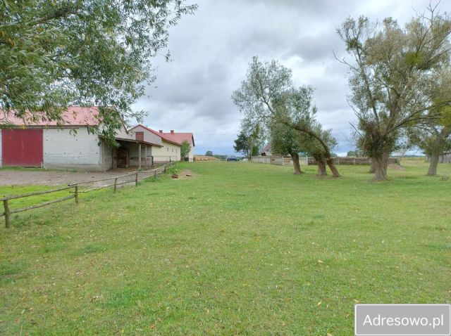 Działka rolno-budowlana Strych. Zdjęcie 1