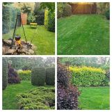 Działka rekreacyjna Głuszynek. Zdjęcie 3