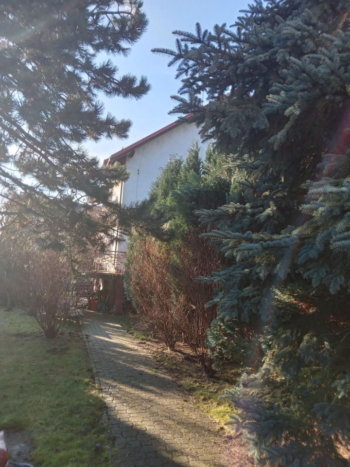 Nieruchomość komercyjna Giebułtów Trojadyn, ul. Graniczna. Zdjęcie 6