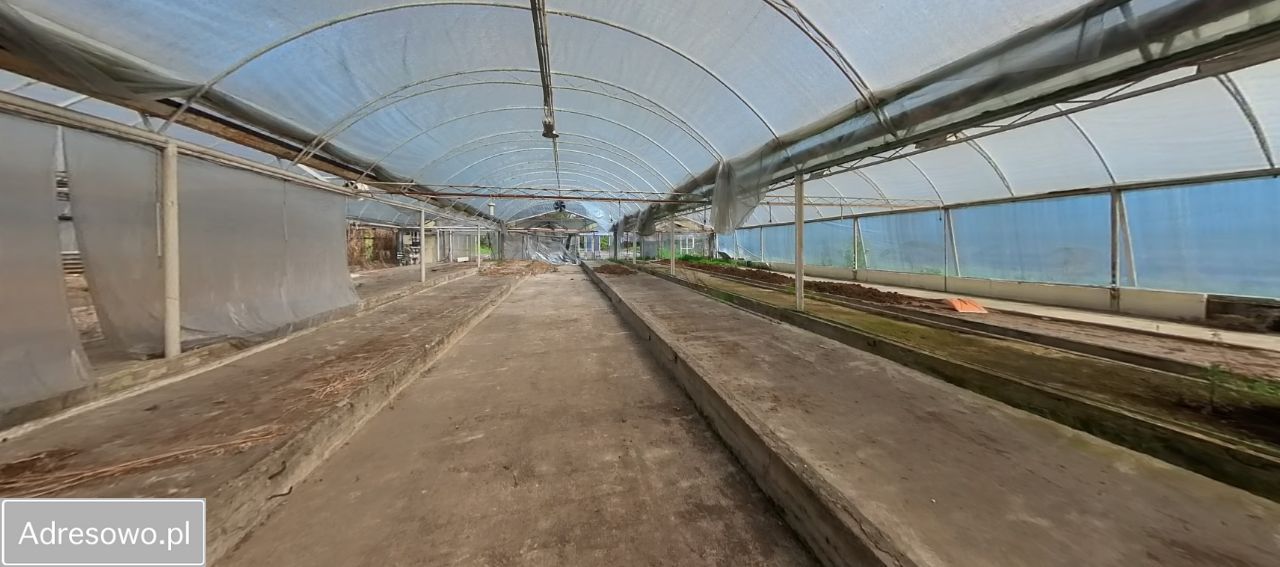 dom wolnostojący, 6 pokoi Pszczyna. Zdjęcie 16