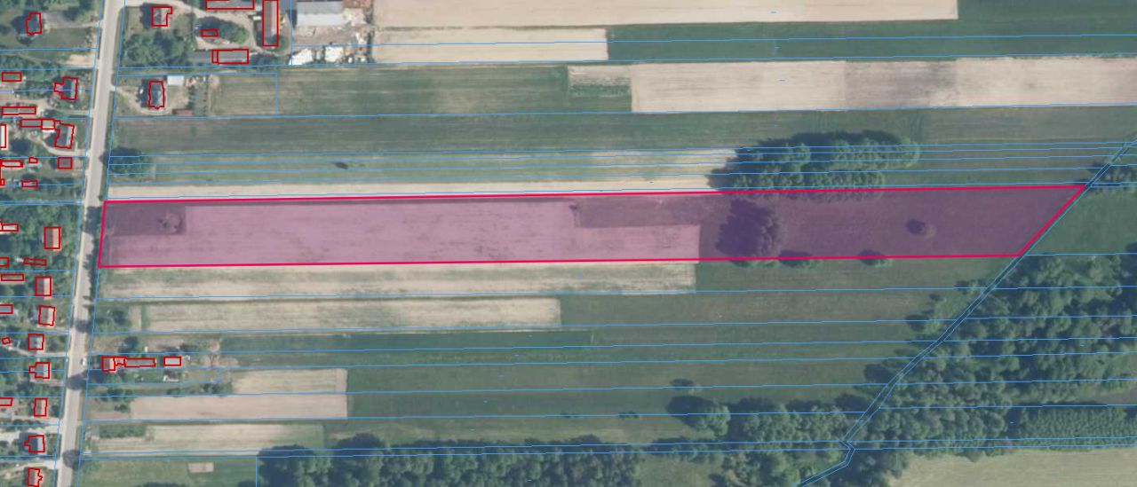 Działka rolno-budowlana Kisielsk. Zdjęcie 12