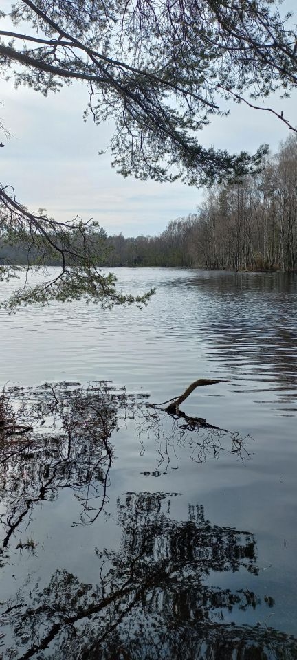 Działka budowlana Łosienice Dąbrowa. Zdjęcie 10