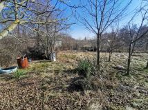 Działka rod Brzeg. Zdjęcie 3