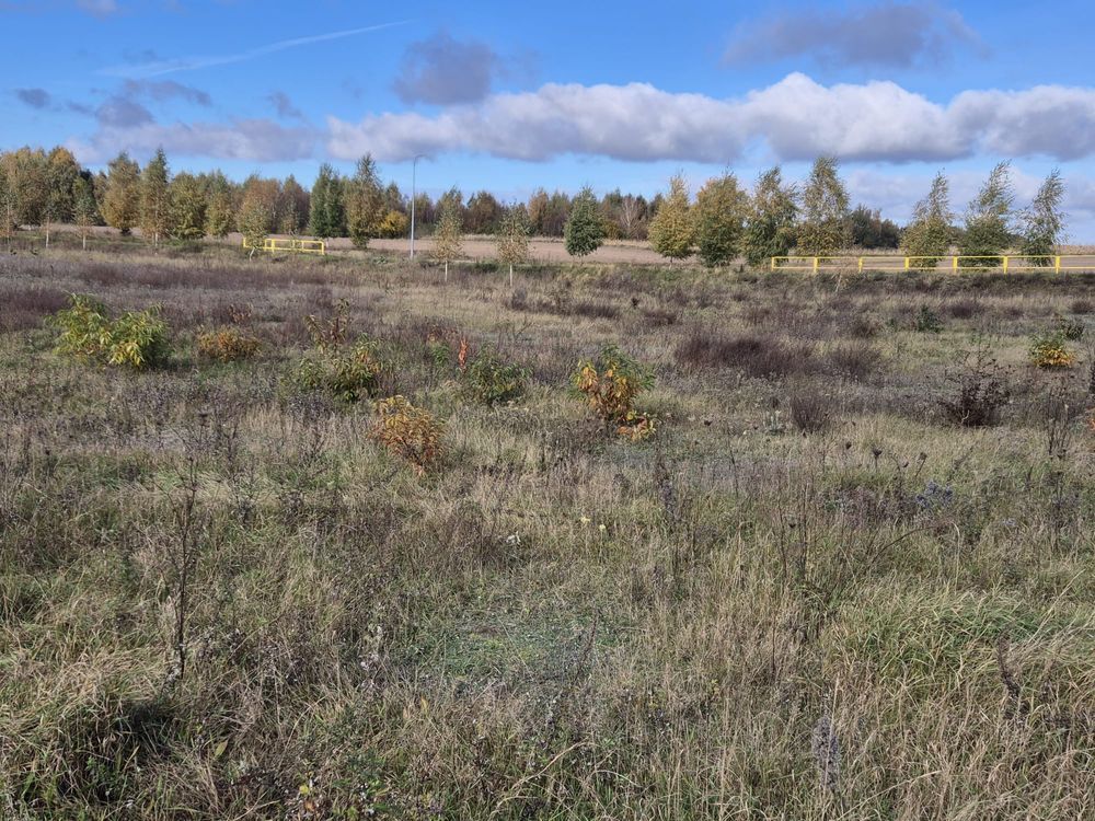 Działka budowlana Nielbark, ul. Wytwórcza. Zdjęcie 2