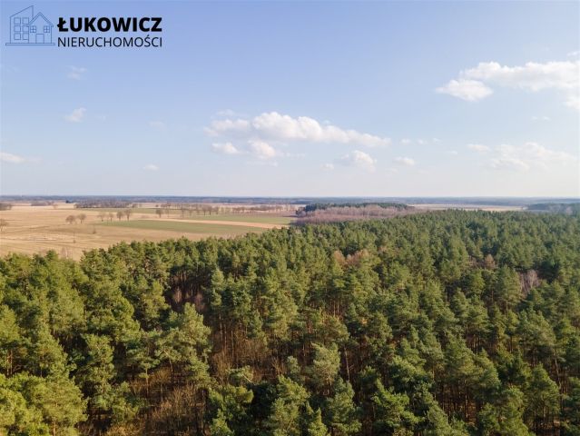 Działka budowlana Płoty. Zdjęcie 18