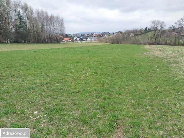 Działka budowlana Nowy Sącz, ul. Mała Poręba. Zdjęcie 1