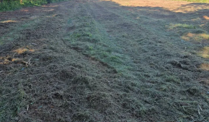 Działka rolno-budowlana Dąbrówka