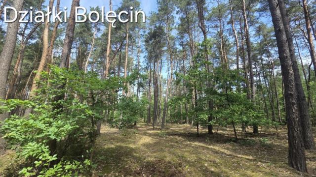 Działka rekreacyjna Bolęcin. Zdjęcie 1