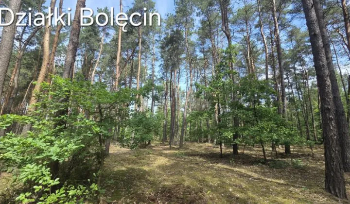 Działka rekreacyjna Bolęcin