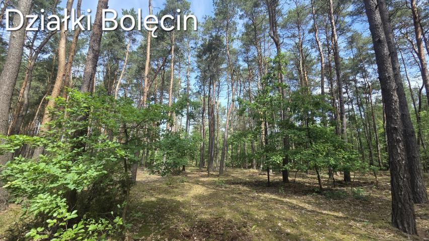 Działka rekreacyjna Bolęcin. Zdjęcie 1