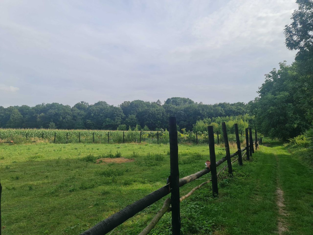 Działka budowlana Marchwacz. Zdjęcie 6