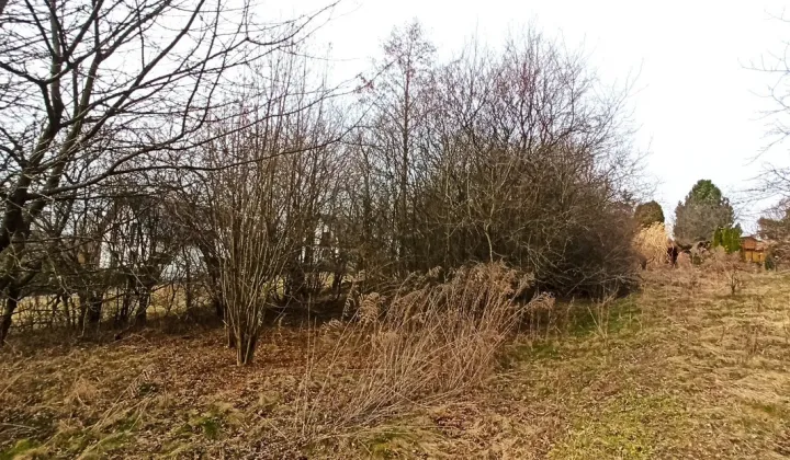 Działka budowlana Przybysławice, ul. Brzozowa