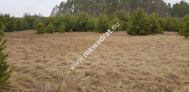 Działka budowlana Budy Iłowskie. Zdjęcie 3