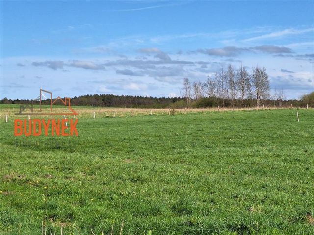 Działka rolna Zielnowo. Zdjęcie 4