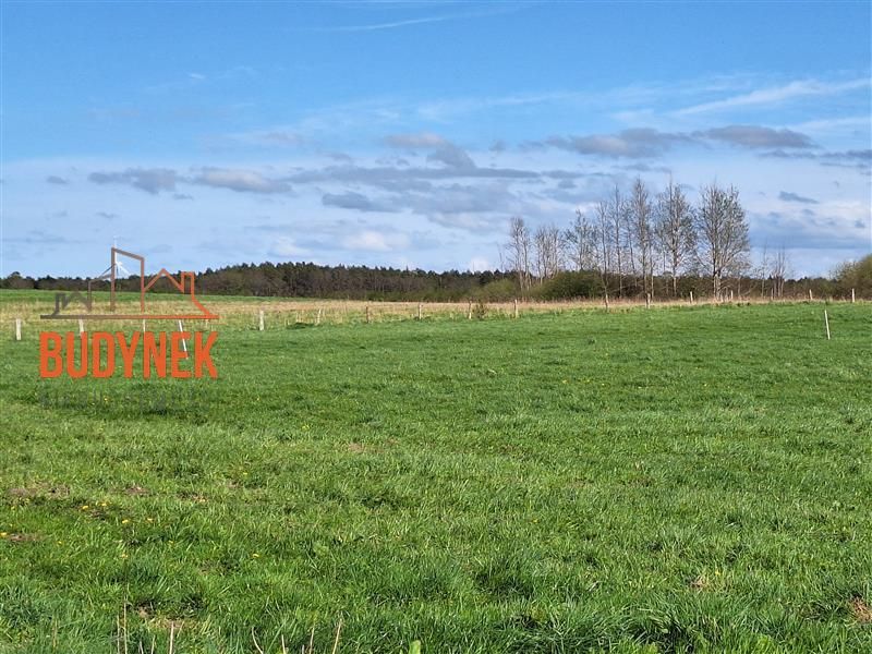 Działka rolna Zielnowo. Zdjęcie 4