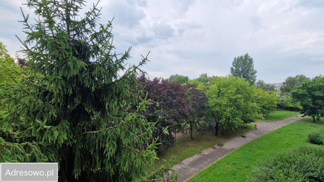 Mieszkanie 3-pokojowe Poznań Nowe Miasto. Zdjęcie 6