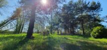 Działka budowlana Tyniec-Kolonia. Zdjęcie 2
