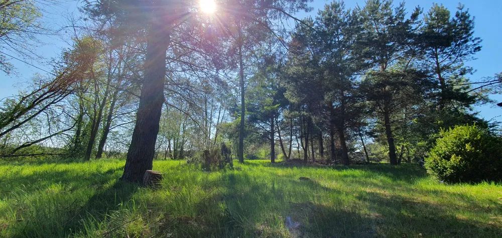 Działka budowlana Tyniec-Kolonia. Zdjęcie 3