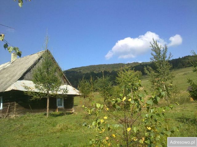 Działka inwestycyjna Bodaki. Zdjęcie 1