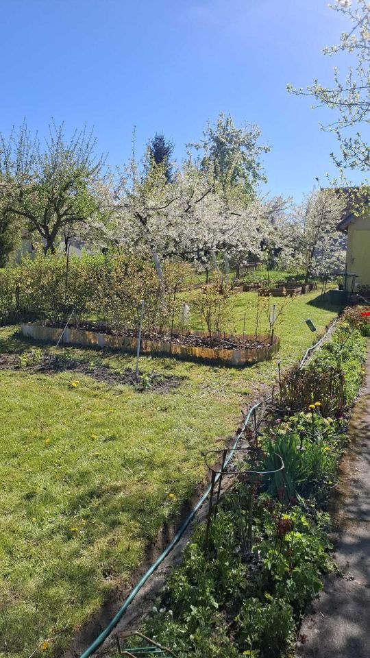 Działka rod Koszalin, ul. Holenderska. Zdjęcie 3