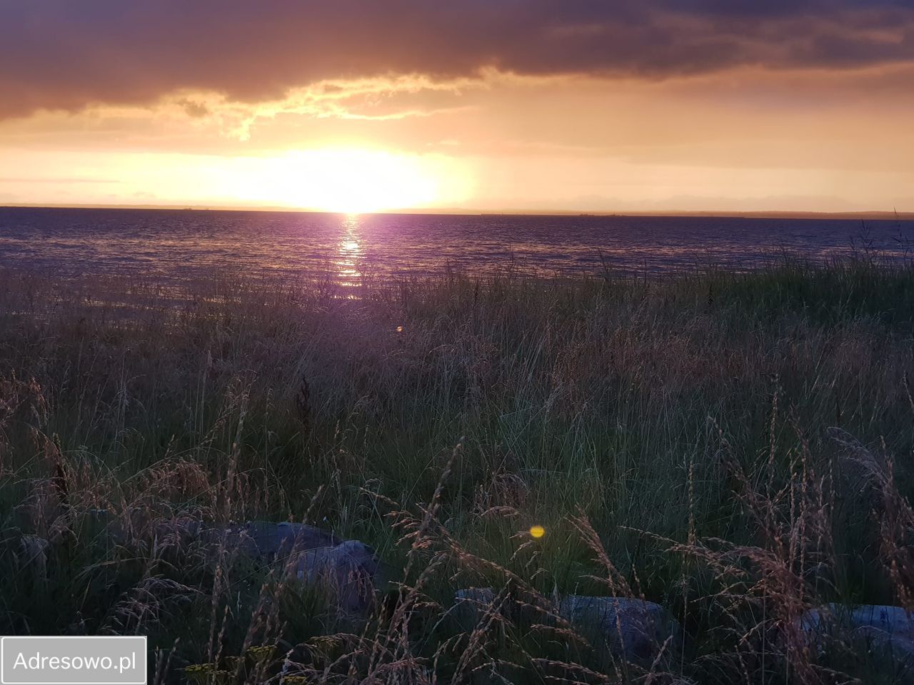 Działka inwestycyjna Suchacz. Zdjęcie 6