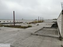 Hala/magazyn Jedlińsk. Zdjęcie 3