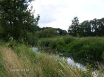 Działka rolna Proszew A. Zdjęcie 1