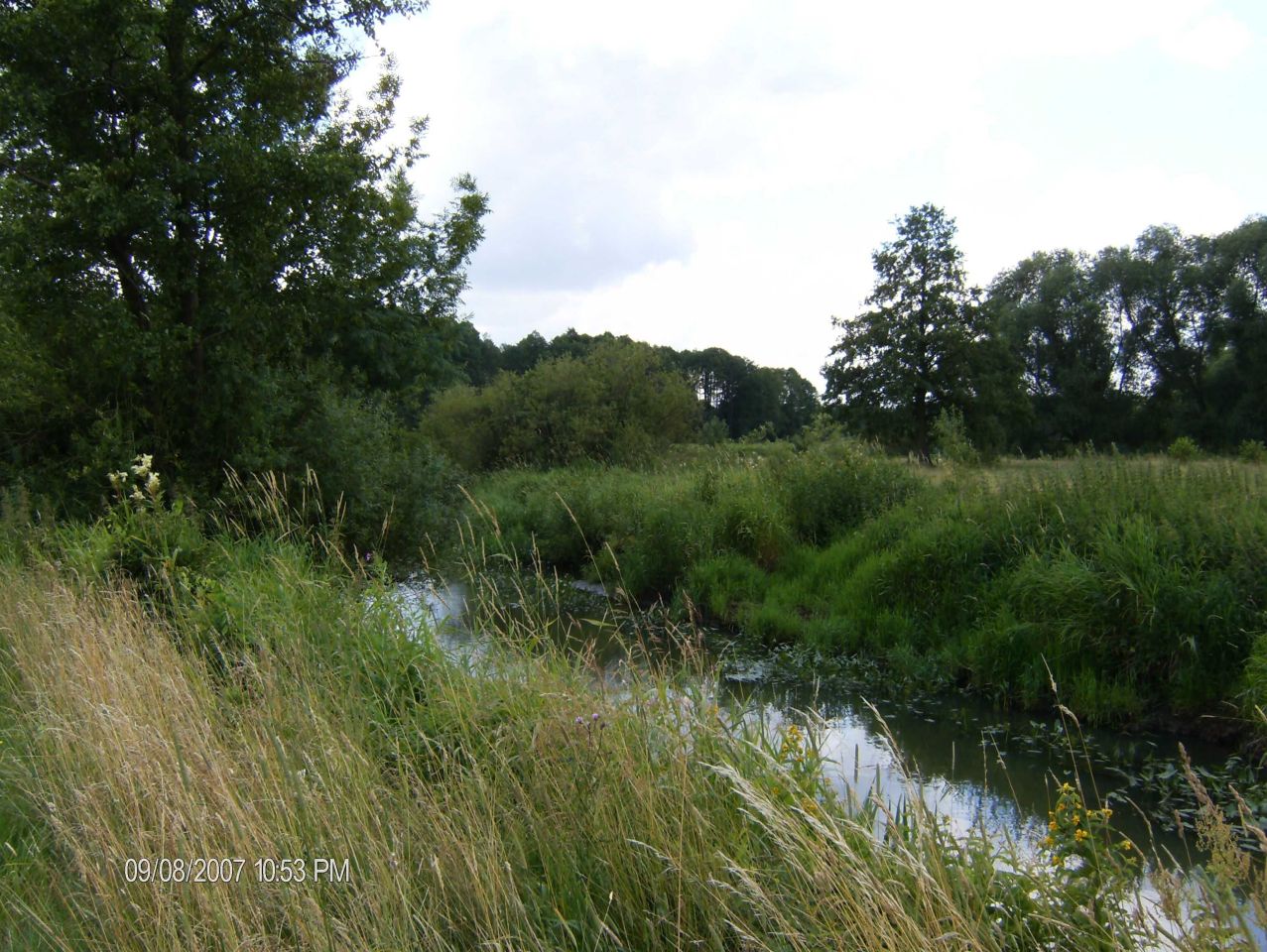 Działka rolna Proszew A. Zdjęcie 2