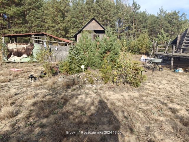 Działka rolno-budowlana Zbrzyca. Zdjęcie 8