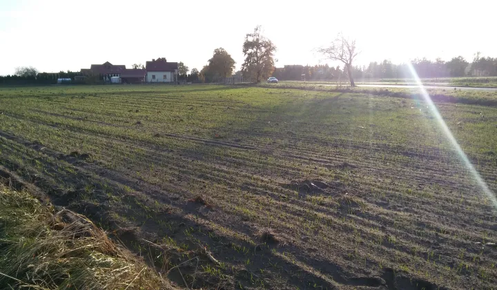 Działka budowlana Zakrzewo, ul. Radziejowska