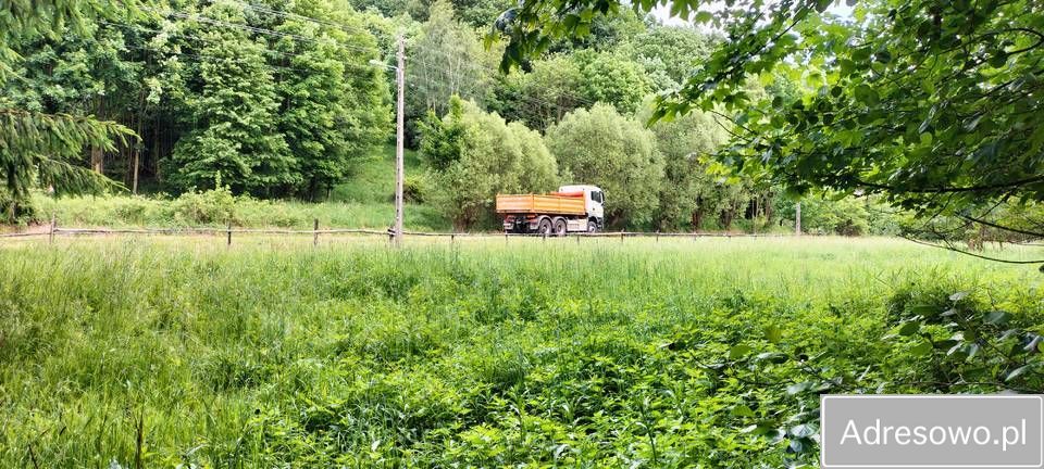 Działka rekreacyjna Zagórze Śląskie. Zdjęcie 5